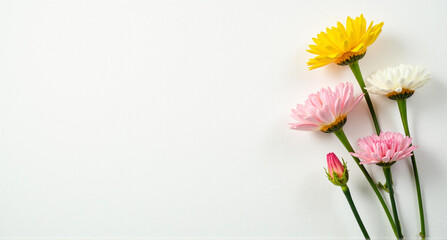 bouquet of pink tulips