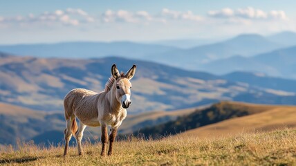 Obraz premium A donkey trotting through a picturesque countryside, with rolling hills and a clear blue sky, capturing its natural grace and charm.