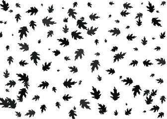Flying maple leaves isolated on white. Black and white vector illustration