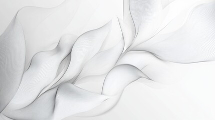 Obraz premium Abstract White Curved Lines with Soft Shadows