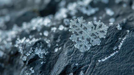 A snowflake is on a rock