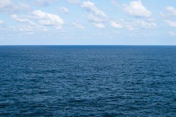 A single seagull flying in the wide blue sea