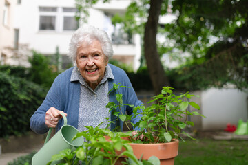 Portrait of senior woman taking care of plants in garden. Watering seedlings with harvested...