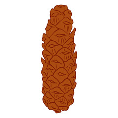 pine cone hand-drawn illustration suitable for your design, decoration, borders, patterns, and other needs related to winter or autumn