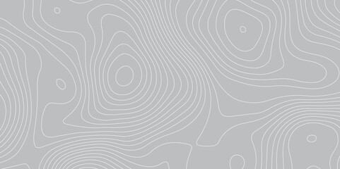 Abstract gray topography geographic contour map background .topography gray paper and white waves lines backdrop background .modern geographic contour map vector illustration .
