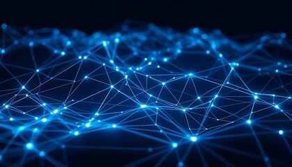 Infinite Network: Illuminated Lines in a Dark Digital World
