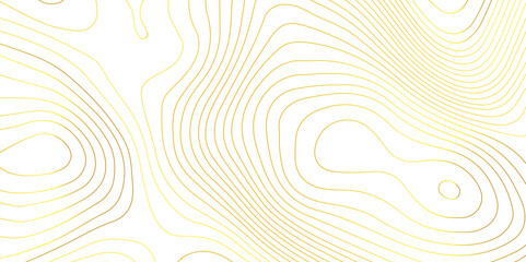 Abstract white topography geographic contour map background .topography white paper and golden waves lines backdrop background .modern geographic contour map vector illustration .