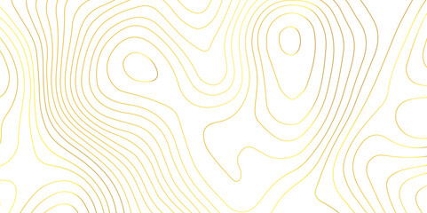 Abstract white topography geographic contour map background .topography white paper and golden waves lines backdrop background .modern geographic contour map vector illustration . © Kingsman