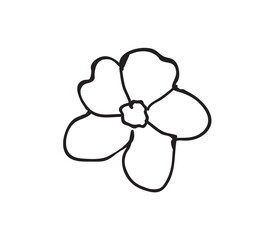 illustration of a flower