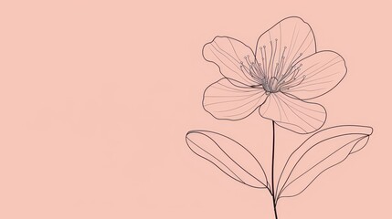 Naklejka premium Minimalist Line Art Flower on Pink Background.