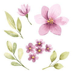 Fototapeta premium Pink flowers and leaves digital illustration, spring design, watercolor hand painting. Perfectly for printing, sublimation. 