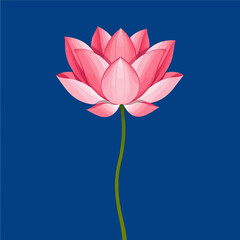 Pink Lotus Flower