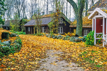 Small village with old cottages and autumn leaves on the road © Lars Johansson