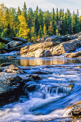 Running water in a forest river at autumn