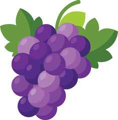 Grapes vector
