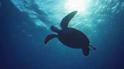 Fototapeta premium Turtle Swimming in Blue Ocean, Beautiful Marine Life, Tropical Turtle in Wild Nature Generative AI