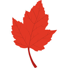 Colorful Autumn Leaves. Vector Flat Icon