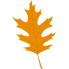 Colorful Autumn Leaves. Vector Flat Icon