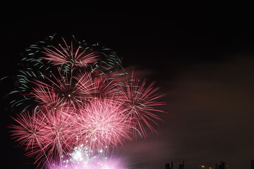 Fireworks exhibition at night