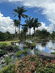 Obraz premium tropical oasis