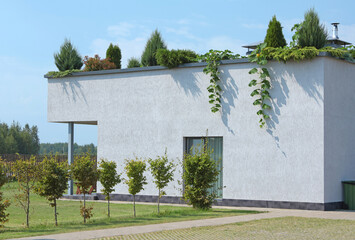 Green garden and plants on roof of house. Technology and protecting planet. Technology and...