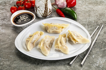 Japanese cuisine - dumplings gyoza with sauce