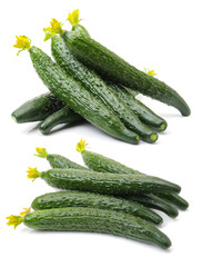 Green cucumber on the white background 