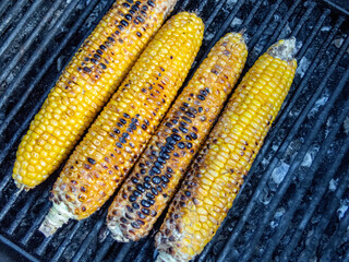 sweet corn on charcoal grill