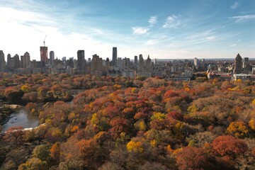 New York City Central Park. Top view with Autumn tree. Autumn Central Park view from drone. Aerial of NY City, panorama in Autumn. Autumn in Central Park. Central Park Fall Colors of foliage.