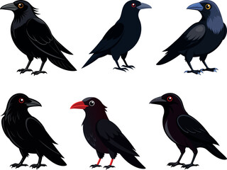crow silhouette vector illustration

