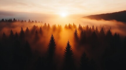 Sunrise Over Misty Forested Mountains, Capturing the Tranquil Beauty of Nature