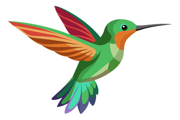 Beautiful hummingbird vector art illustration