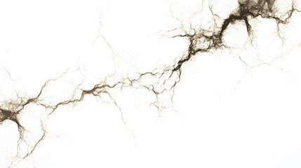 Electric Sparks: Crackling electric sparks branching out in all directions, captured in sharp detail on a white background.
