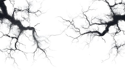 Fototapeta premium Electric Sparks: Crackling electric sparks branching out in all directions, captured in sharp detail on a white background. 