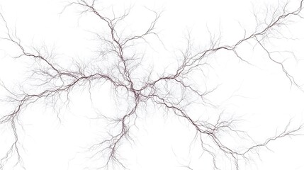 Fototapeta premium Electric Sparks: Crackling electric sparks branching out in all directions, captured in sharp detail on a white background. 