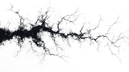 Electric Sparks: Crackling electric sparks branching out in all directions, captured in sharp detail on a white background.
