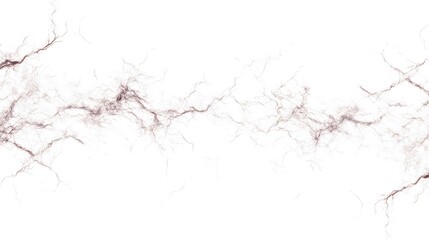 Electric Sparks: Crackling electric sparks branching out in all directions, captured in sharp detail on a white background.
