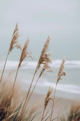 a photo of tall grass in front, the beach is visible on background, pastel colors, muted tones, minimalistic 