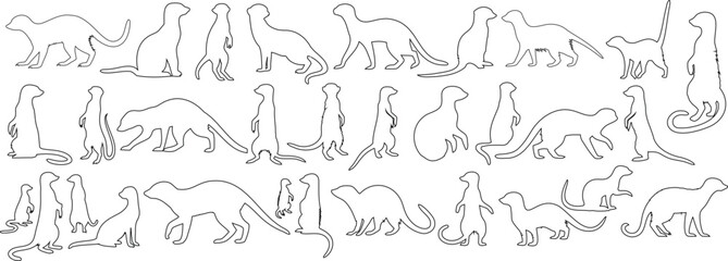 Obraz premium Meerkat line art silhouette, continuous outlines, vector illustration. Standing, sitting, walking meerkat poses. Perfect for wildlife design, animal pattern, or educational content
