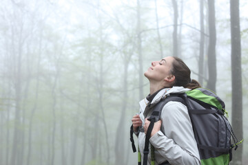 Hikker breathing fresh air in a foggy forest in winter