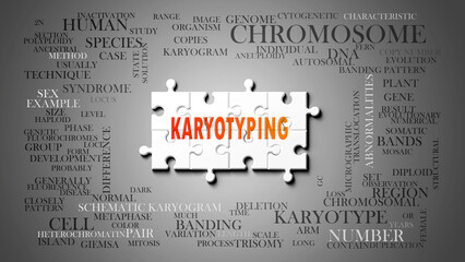 Karyotyping as a complex subject, related to important topics. Pictured as a puzzle and a word cloud made of most important ideas and phrases related to karyotyping. ,3d illustration