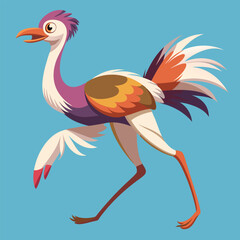 ostrich illustration vector