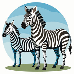 Fototapeta premium Two Zebras Standing on Grass with Blue Sky Background