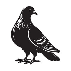 dove bird silhouette vector