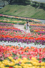 壮大なチューリップ畑