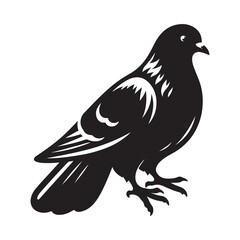 dove bird silhouette vector