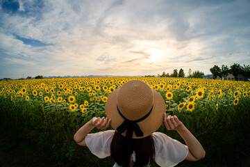 ひまわり畑の夕焼け