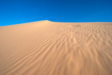 Sands of Time: Discover the intricate beauty of desert sand patterns, a natural artwork shaped by wind and time; The rhythm of shifting sands; survival in harsh environments
