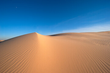 Sands of Time: Discover the intricate beauty of desert sand patterns, a natural artwork shaped by wind and time; The rhythm of shifting sands; survival in harsh environments
