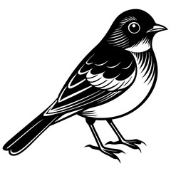 Naklejka premium bird on a branch